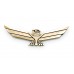 Flying eagle emblem