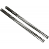 GL1100 Progressive Front Fork Springs