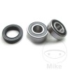 GL1500 Rear Wheel bearings and Seal Kit