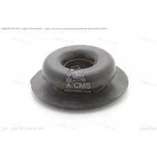 Grommet for Ignition Cover GL1500